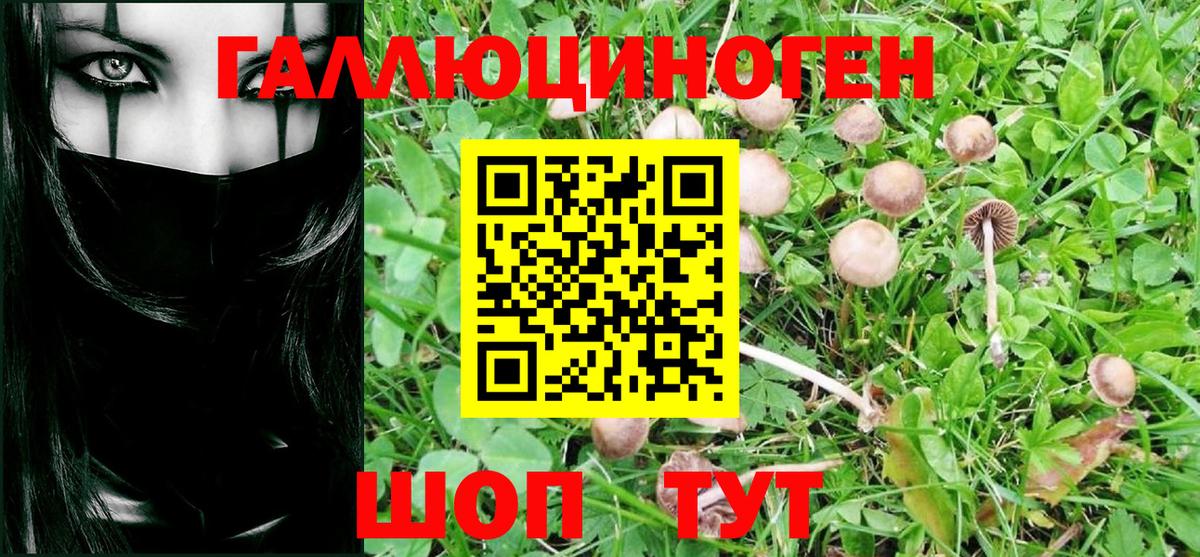 Галлюциногенные грибы GOLDEN TEACHER Кохма