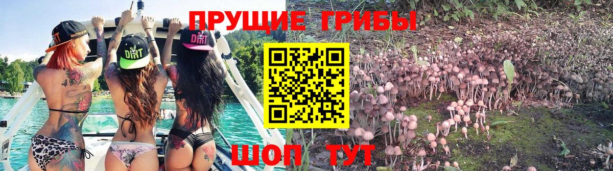 Кохма  купить наркотик  Вход с VPN  Псилоцибиновые грибы ЛСД 